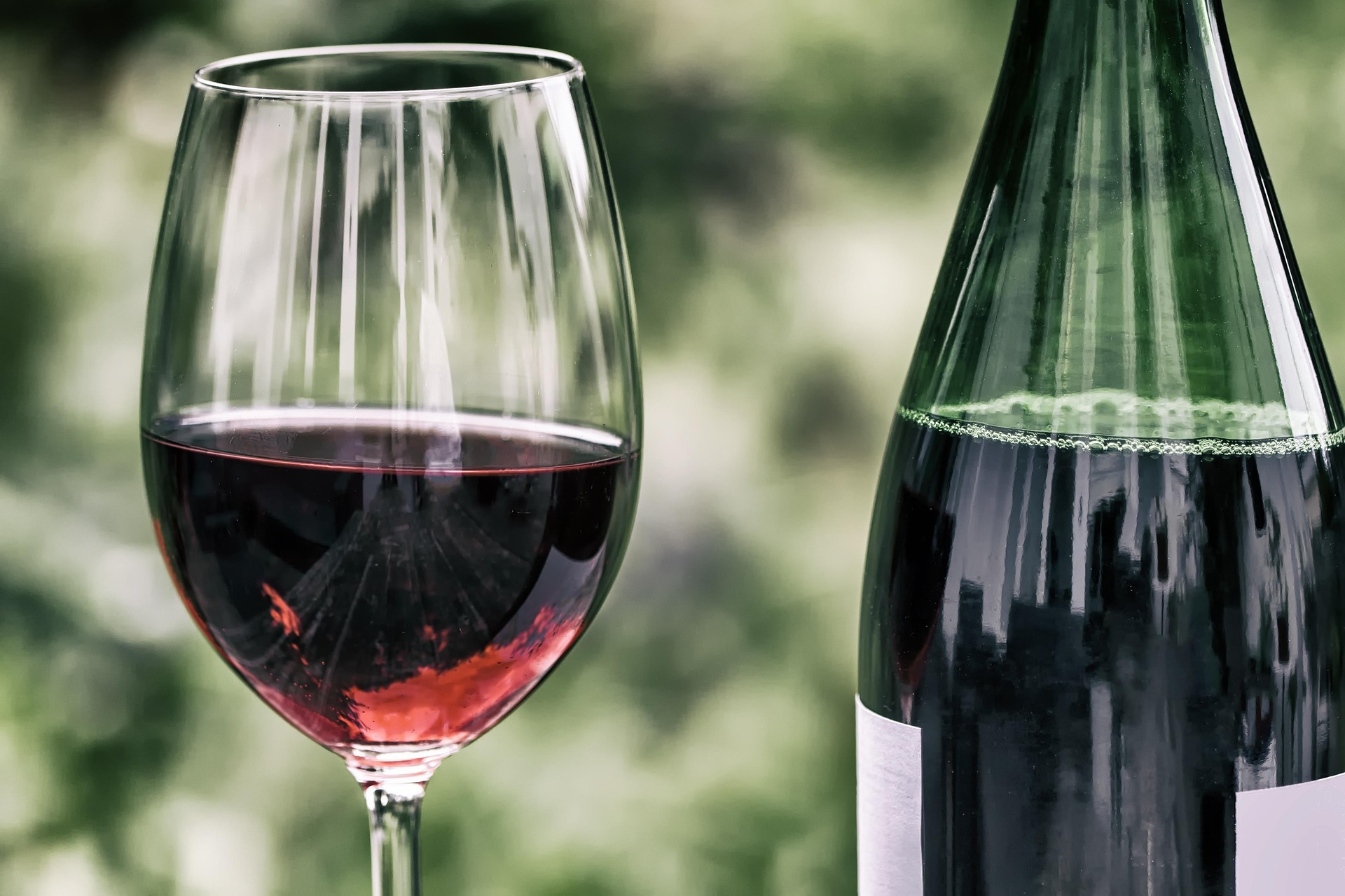 Sonne im Glas – die beliebtesten Weine aus Südfrankreich