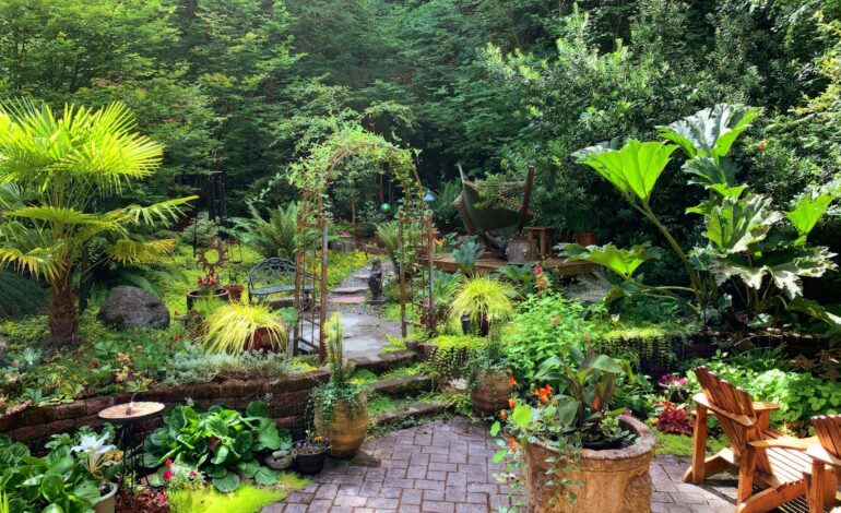 Sträucher, Büsche, Bäume: Welche Pflanzen gehören in den Garten?