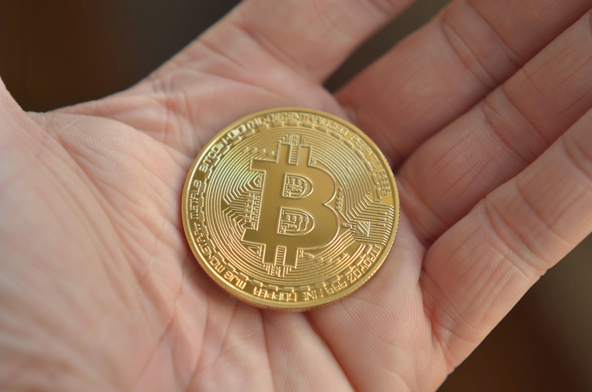 Krypto: Interesse bleibt ungebrochen